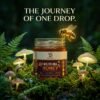 Multiflora Honey