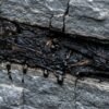 How Is Shilajit Formed in the Himalayas