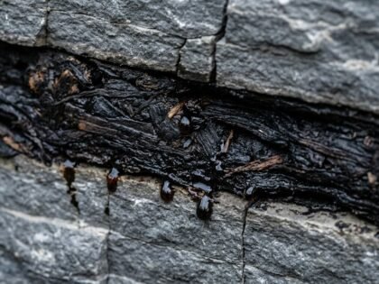How Is Shilajit Formed in the Himalayas